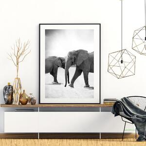 Poszter - Szembe menő elefántok (A4)