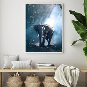 Poszter - Elefánt a dzsungelben (A4)