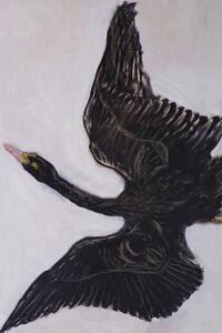 Reprodukció The Black Swan (2 of 2) - Hilma af Klint