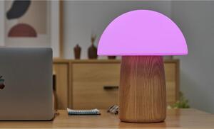 Natúr színű szabályozható asztali lámpa üveg búrával (magasság 32 cm) Alice – Gingko