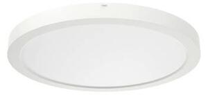 RIDI (332095) (332095) LED-es mennyezeti lámpa LED Fehér