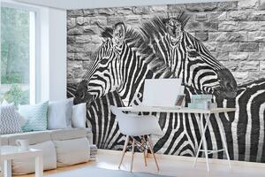 Fotótapéta - Festett zebrák egy téglafalra (152,5x104 cm)