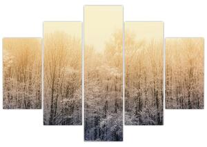 Fagyos erdő képe (150x105 cm)