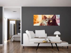 Fekete macska képe (120x50 cm)