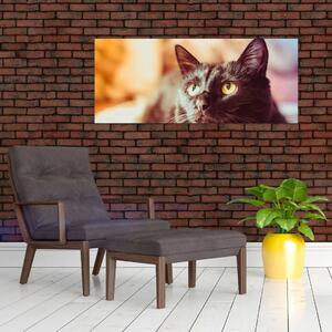 Fekete macska képe (120x50 cm)