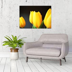 Tulipán képe (70x50 cm)