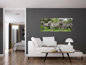 Zebrák képe (120x50 cm)