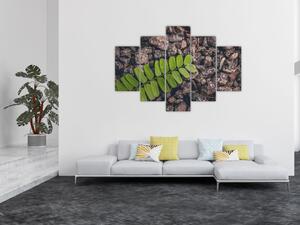 Zöld növények képe (150x105 cm)