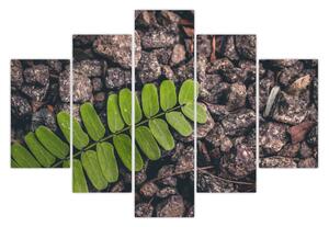 Zöld növények képe (150x105 cm)