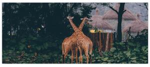 Két zsiráf képe (120x50 cm)