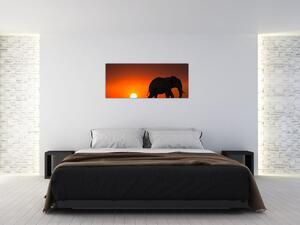 Elefánt képe naplementekor (120x50 cm)
