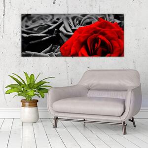 Kép - Rózsa virágok (120x50 cm)