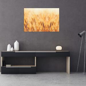 Kép - mező gabonával (90x60 cm)