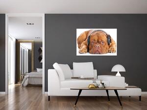 Kép egy kutya fejhallgatóval (90x60 cm)
