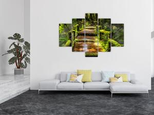 Lépcső az esőerdőben képe (150x105 cm)