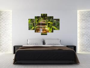Lépcső az esőerdőben képe (150x105 cm)