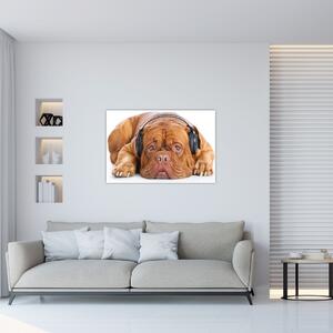 Kép egy kutya fejhallgatóval (90x60 cm)
