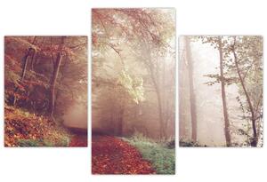 Kép - Őszi séta az erdőben (90x60 cm)