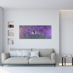 Kép - Pillangó a levendulán (120x50 cm)