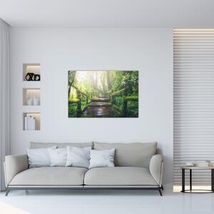 Kép - falépcsők az erdőben (90x60 cm)
