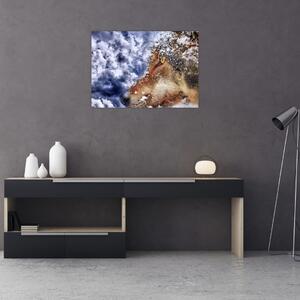 A farkas képe (70x50 cm)