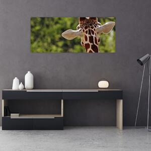A zsiráf képe hátulról (120x50 cm)