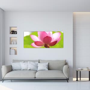 Lótuszvirág kép (120x50 cm)