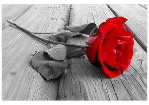 Egy vörös rózsa képe (90x60 cm)