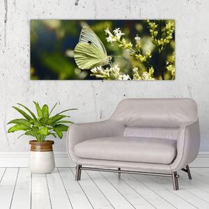 Pillangó képe (120x50 cm)