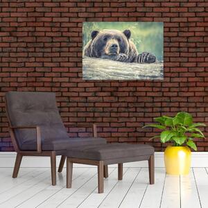 Medve képe (70x50 cm)