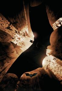 Plakát The Dark Knight Trilogy - Bat Wings