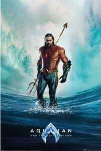 Plakát Aquaman and the Lost Kingdom - Tempest, (61 x 91.5 cm)