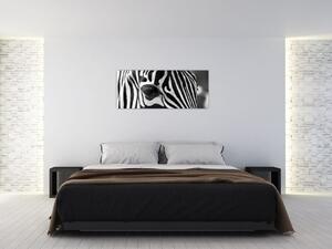Zebra képe (120x50 cm)