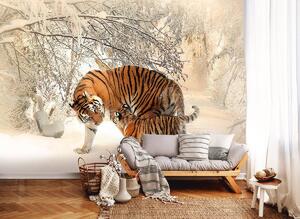 Fotótapéta - Tigrisek a hóban (152,5x104 cm)