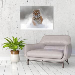Futó tigris a hóban képe (70x50 cm)