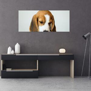 Beagle képe (120x50 cm)