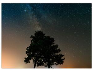 Egy éjszakai égbolt fákkal képe (70x50 cm)