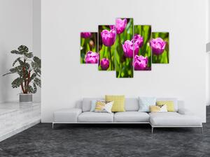 Tulipánok a réten képe (150x105 cm)