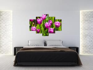 Tulipánok a réten képe (150x105 cm)