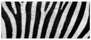 Kép egy zebra bőrről (120x50 cm)