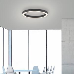 PURE LED mennyezeti lámpa Lines, Ø 50 cm, antracit, CCT, távirányító, dimmelhető, Fekete, Nappali / Étkező, Alumínium, Modern