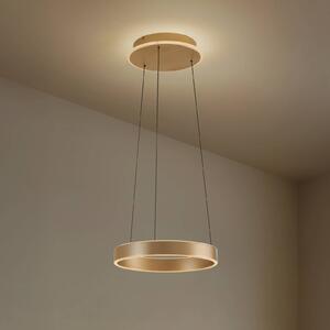 Lucande LED lógó világítás Tindra, Ø 40 cm, arany, dimmelhető, dimmelhető, Sárgaréz / arany, Nappali / Étkező, fém, Modern