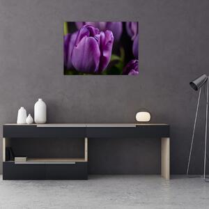 Tulipán vírág képe (70x50 cm)