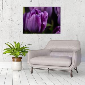 Tulipán vírág képe (70x50 cm)