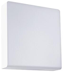 Paulmann Azalera LED-es kültéri fali lámpa LED 8.5 W Fehér (94841)