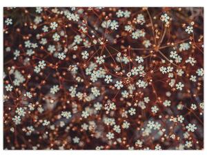 Erdei nefelejcs virág képe (70x50 cm)