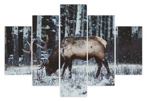 Kép - szarvas télen (150x105 cm)