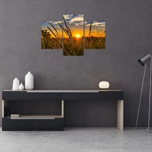A mező naplementekor képe (90x60 cm)