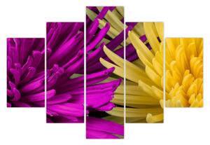 Kép - virág részlet (150x105 cm)