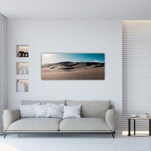 Kép - A sivatagból (120x50 cm)
